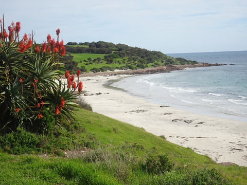 Tu Emuz Stone Beachfront Cottage, Supporting Fire Recovery, Emu Bay, KI - YWait Travel 2