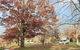 Tumbarumba Caravan Park - thumb 0