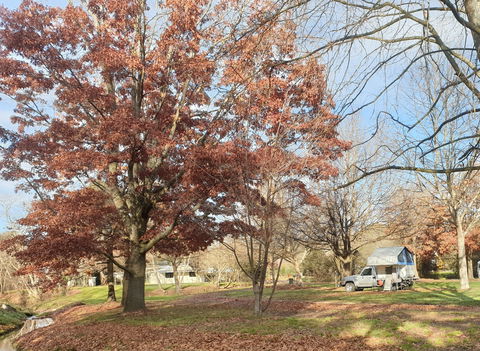 Tumbarumba Caravan Park - Accommodation Yamba 0
