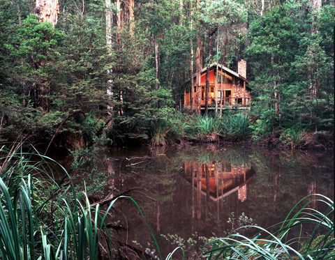 Woodlands Rainforest Retreat - Kawana Tourism 0