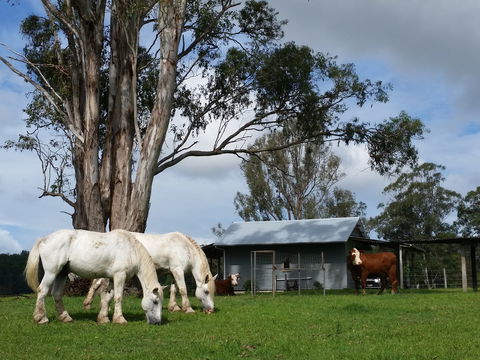 Woodenbong B And B - Accommodation Nelson Bay 0