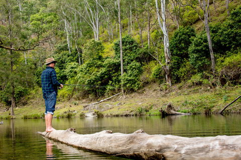 Bass Lodge - Accommodation Nelson Bay 0