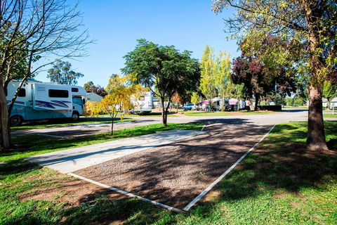 BIG4 Bendigo Marong Holiday Park - Accommodation Whitsundays 1