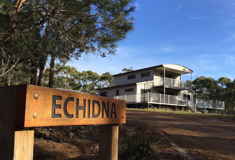 Echidna On Bruny - Holiday Melbourne 0