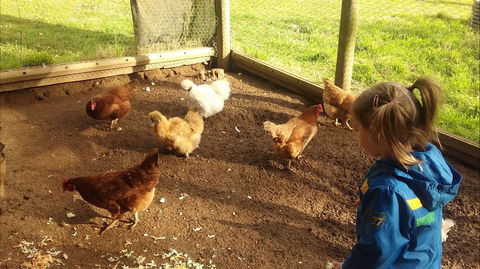 Emerald Park Holiday Farm - Sunshine Coast Guide 2