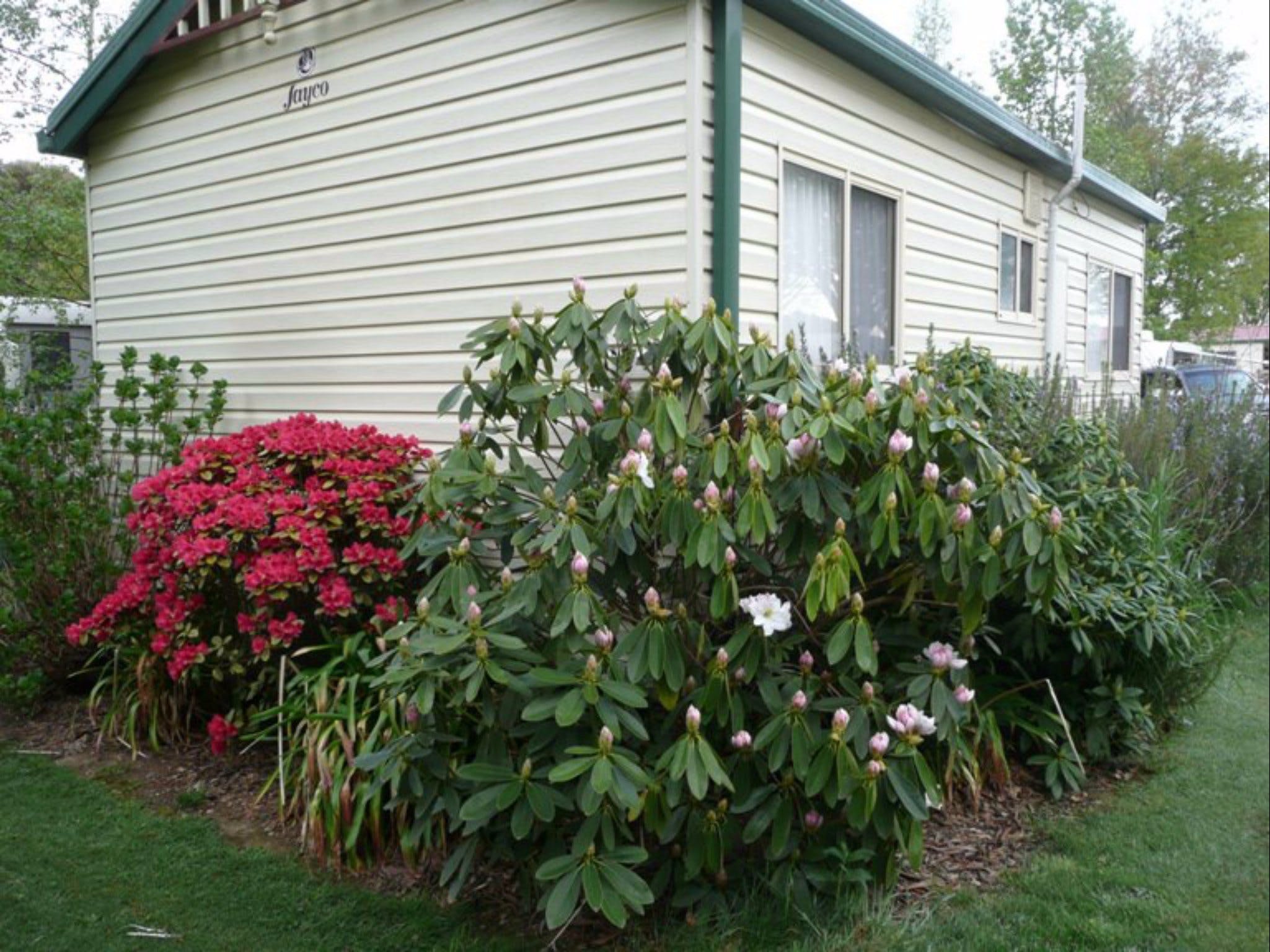 Jenolan Caravan Park - thumb 0