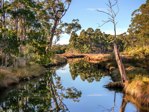 Saintys Creek Cottage - Accommodation Hamilton Island 1