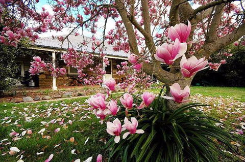 The Stone Cottage - Brisbane Tourism 1
