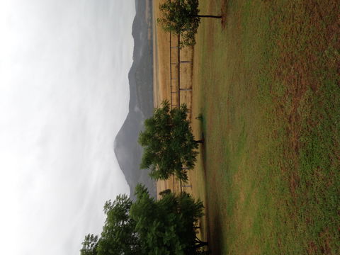 The Old Dairy At Baerami - Accommodation Find 2