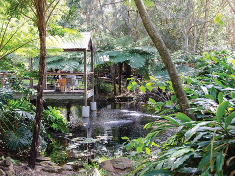 The Oasis And Wellness Centre  At One Mile Beach - Accommodation Georgetown 2