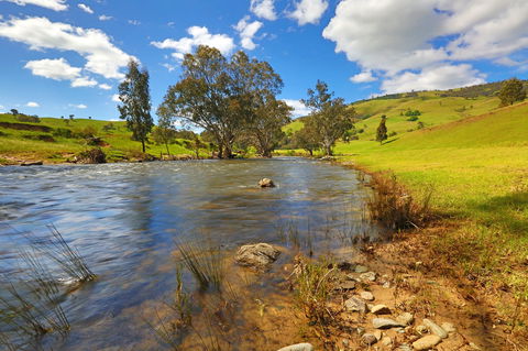 Elm Cottage Tumut - Getaway Accommodation 0