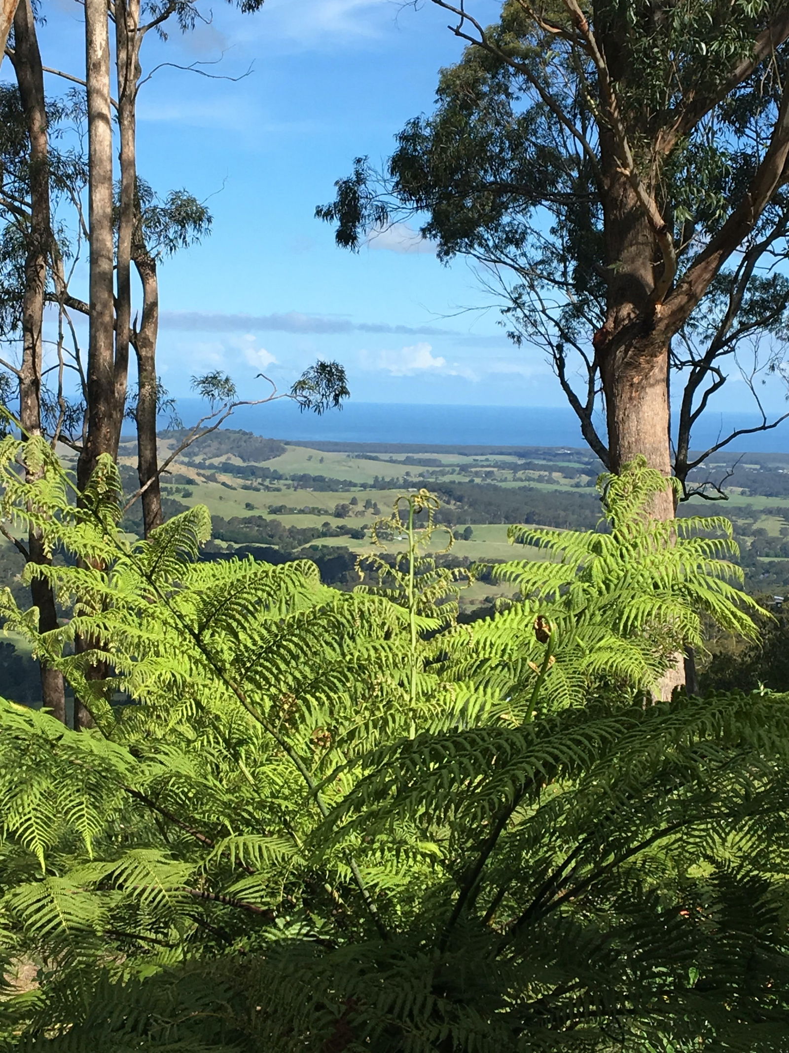 Woodhill NSW Whitsundays Tourism