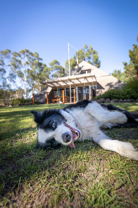 Grampians Getaway - Accommodation Sydney 0