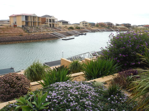 Happy Gilmore - Accommodation Nelson Bay 0