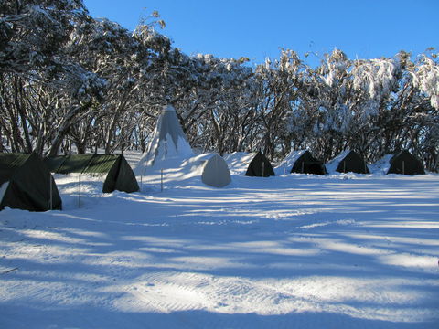 Mt Stirling Alpine Winter Camp - Whitsundays Tourism 0