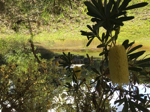 Possum's Hollow And Hooter's Hut - Accommodation Yamba 2