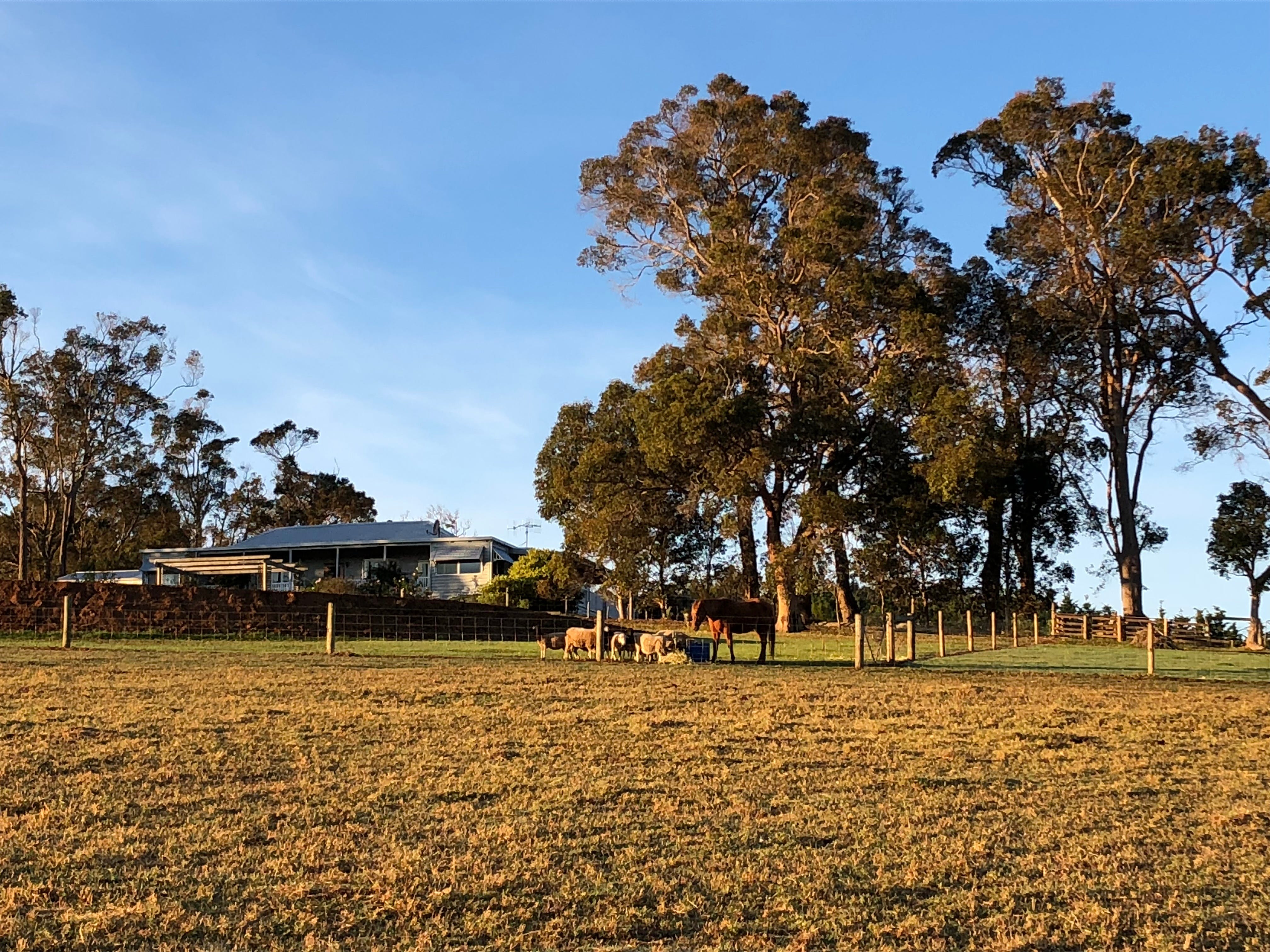 Great Southern Outback Tours & Accommodation - thumb 2
