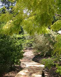 Eagle Hammer Cottages - Accommodation Australia 0