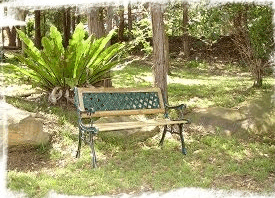 Lorikeet Cottage - Townsville Tourism 3