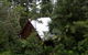 Turkeys Nest Rainforest Cottages Mt Glorious - thumb 0