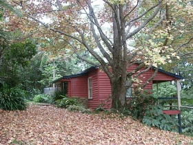 Turkeys Nest Rainforest Cottages Mt Glorious - Caravan Park Accommodation 1