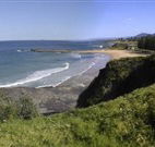 Coledale Beach Camping Reserve - Tourism Listing
