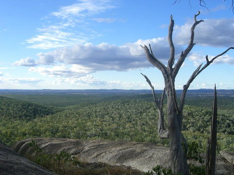 Goat Rock Camping Ground And Tourist Park - Victoria Tourism 7
