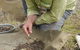 Bullock Mountain Homestead - thumb 1
