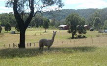 Mayfield Vineyard Cottages - Tourism Listing 3