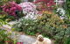 Shelton-Lea Bed And Breakfast - thumb 1