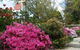 Shelton-Lea Bed And Breakfast - thumb 2
