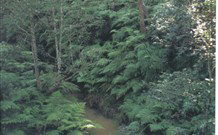 Eco Huts - Jervis Bay Getaways - Tourism Listing 1