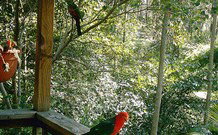 Eco Huts - Jervis Bay Getaways - Tourism Listing 2