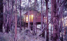 Elgetha Cottage - Tourism Listing 5