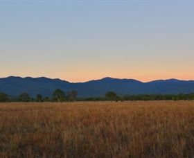 Bustard Downs - Victoria Tourism 0