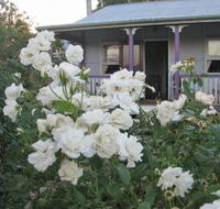 Thistledown Country Retreat - Tourism Listing