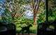 Red Dog Retreat - thumb 8