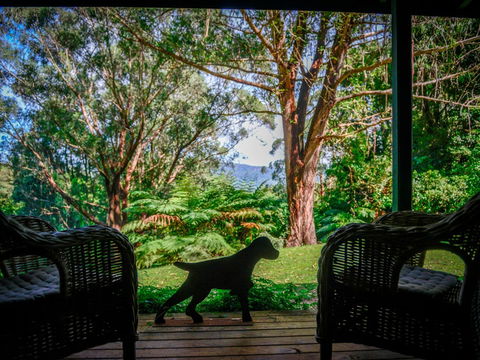 Red Dog Retreat - Tourism Bookings WA 8
