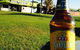 Black Nugget Hotel-Motel - thumb 17
