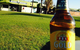 Black Nugget Hotel-Motel - thumb 12
