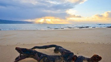 Best Western Apollo Bay Motel And Apartments - Victoria Tourism 7