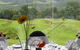 Tranquil Park Mountain Resort - thumb 1