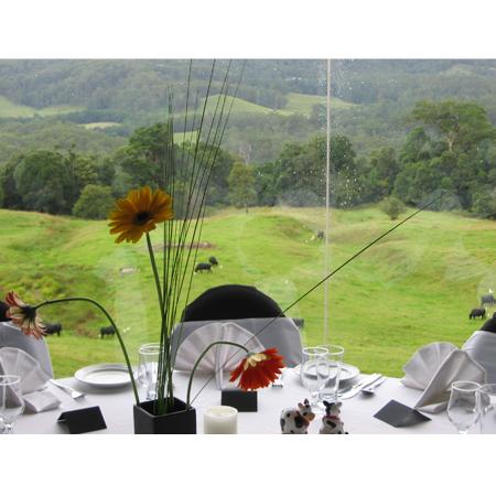 Tranquil Park Mountain Resort - Caravan Park Accommodation 1