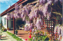Woodchester Bed And Breakfast - Caravan Park Accommodation 1