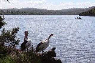 Rest Point Holiday Village - Caravan Park Accommodation 5