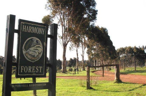Harmony Forest - Tourism Listing 0