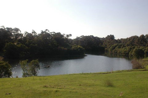 Harmony Forest - Tourism Listing 1