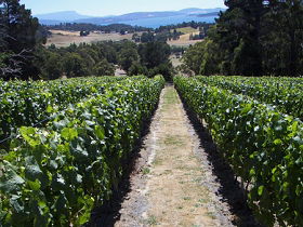 Resolution Vineyard House - Caravan Park Accommodation 1