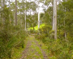 Huon Valley Eco Wilderness Retreat - Caravan Park Accommodation 5