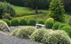 Love Grove Guest House - thumb 1